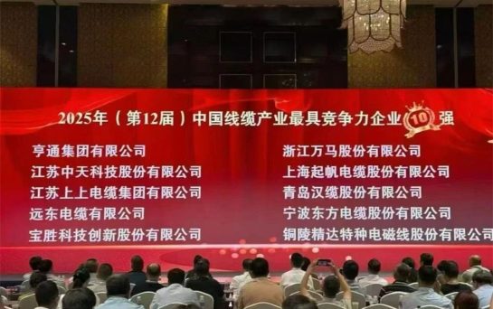 Shanghai Qifan Cable Ranks in Top 10 Most Competitive Chinese